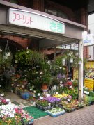 「しのざき」　（東京都新宿区）の花屋店舗写真1